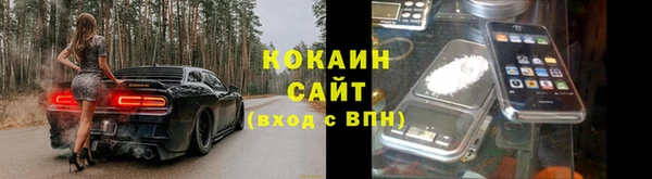 дживик Алексин