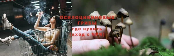 дживик Алексин
