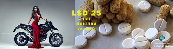 гидропоника Алзамай